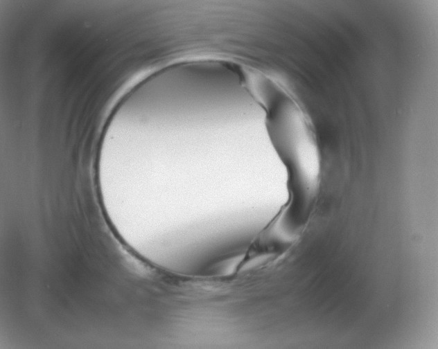 X0000082171197200702021718