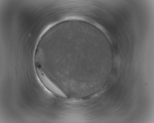 X0000082171199200702021718