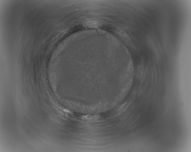 X0000082171201200702021718