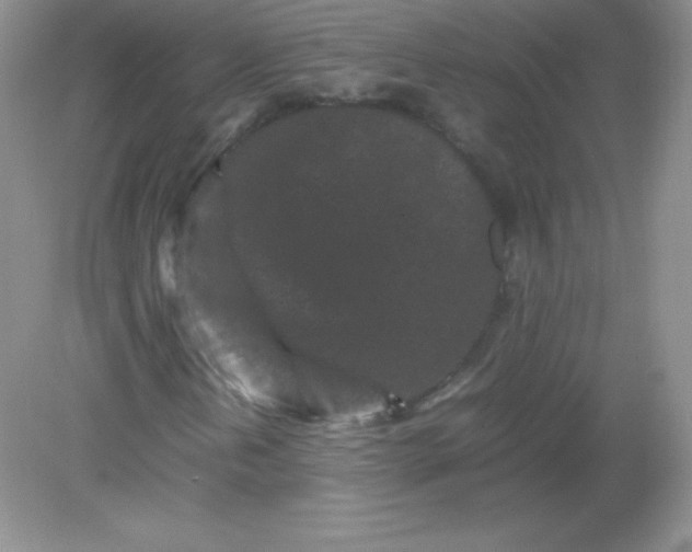 X0000082171202200702021718