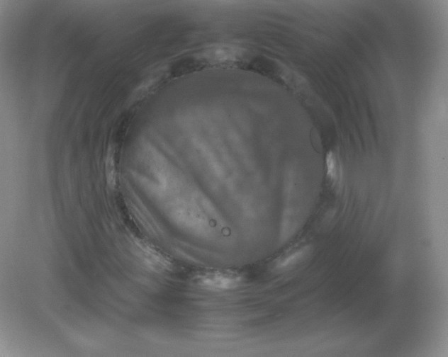 X0000082171203200702021718