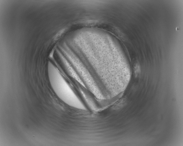 X0000082171204200702021718