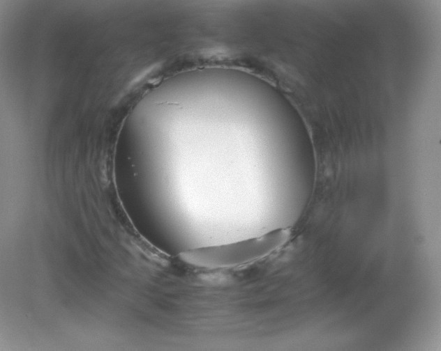 X0000082171205200702021718