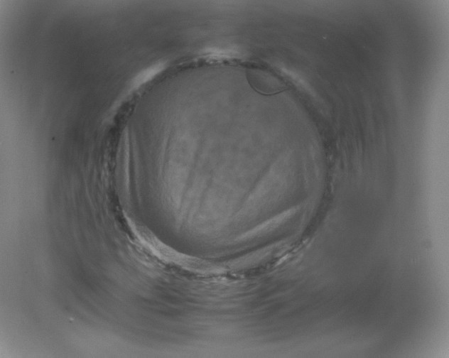 X0000082171207200702021718