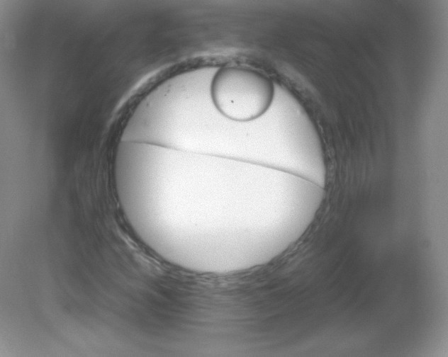 X0000082171208200702021718