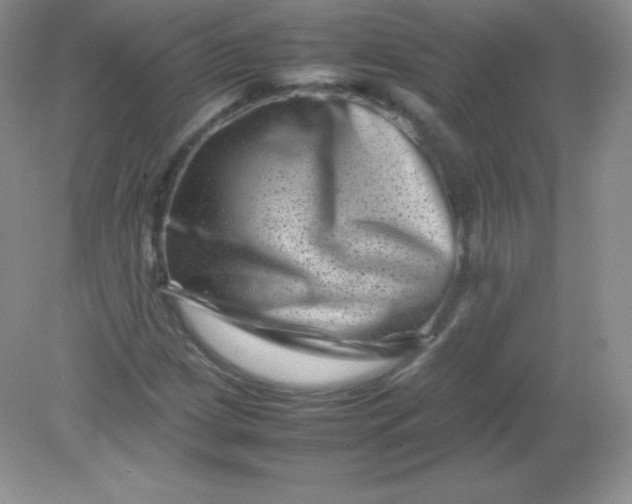 X0000082171209200702021718