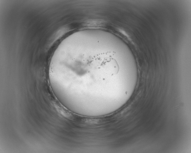 X0000082171211200702021718