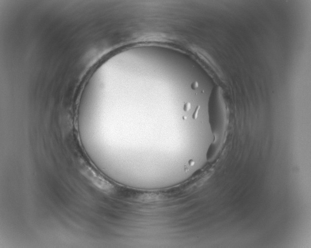 X0000082171212200702021718