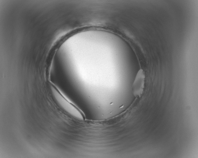 X0000082171214200702021718