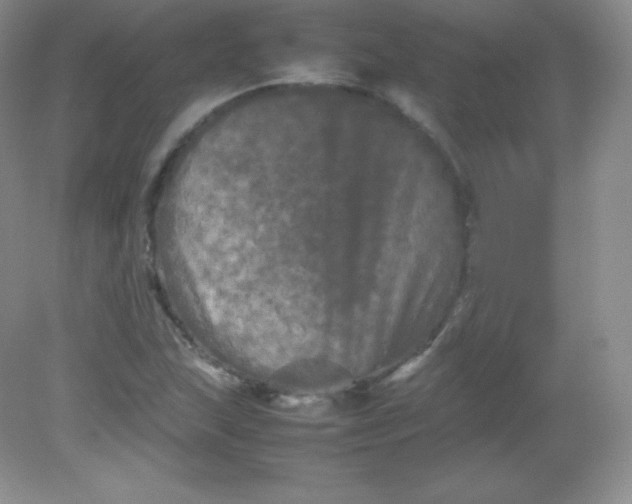 X0000082171215200702021718