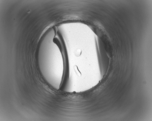 X0000082171218200702021718