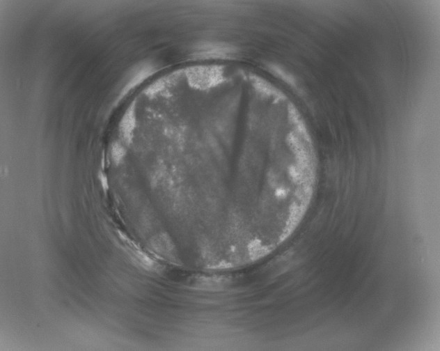 X0000082171219200702021718