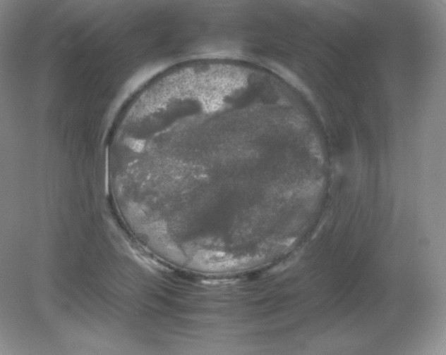 X0000082171223200702021718