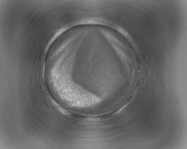 X0000082171224200702021718