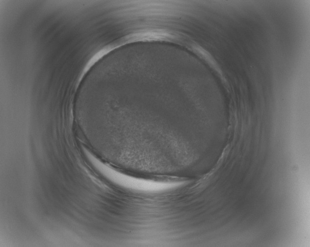 X0000082171226200702021718