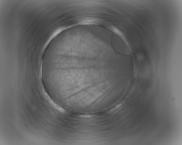 X0000082171227200702021718