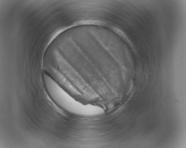 X0000082171228200702021718