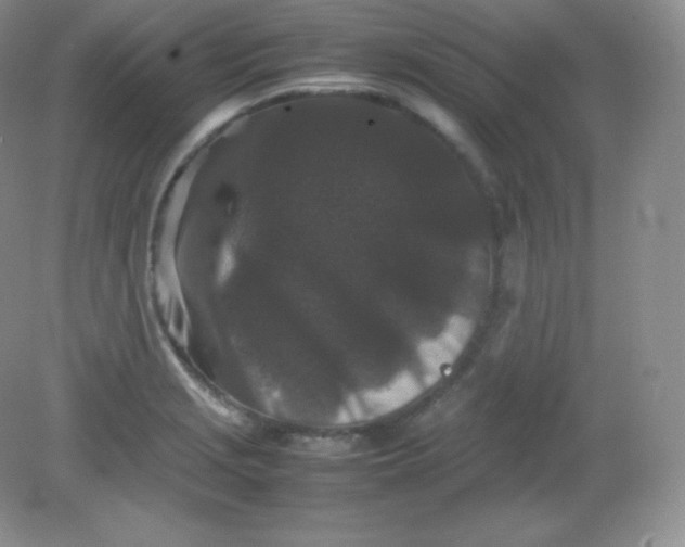 X0000082171229200702021718