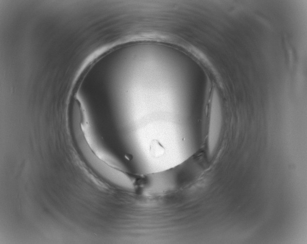 X0000082171230200702021718