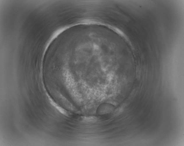 X0000082171231200702021718