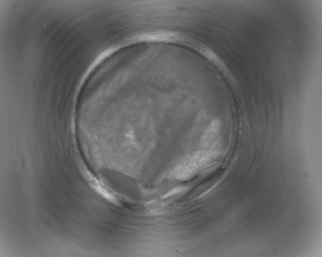 X0000082171232200702021718