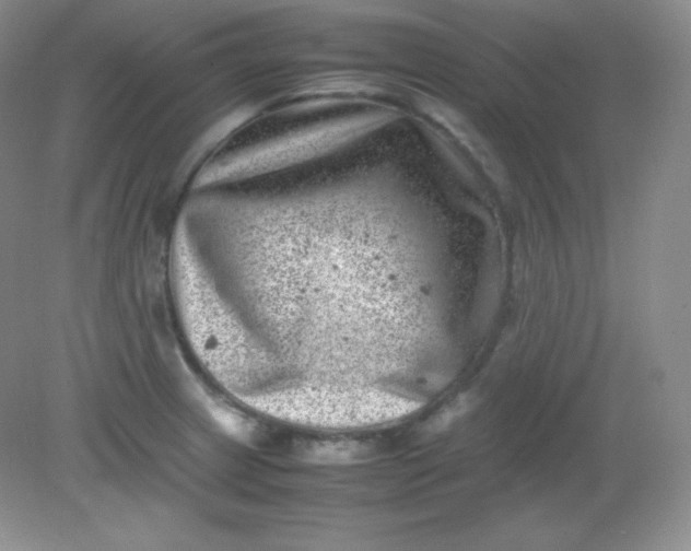 X0000082171233200702021718