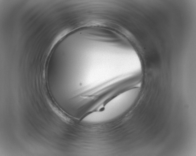 X0000082171234200702021718