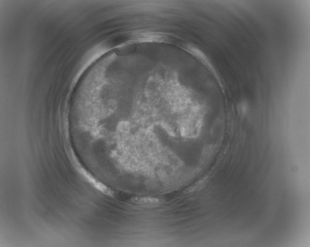 X0000082171235200702021718