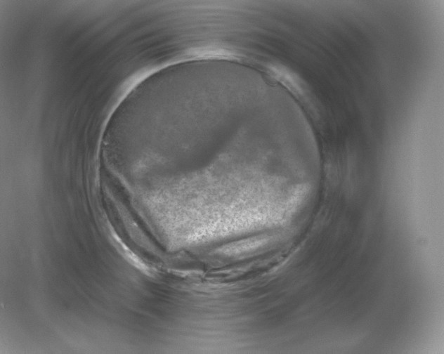 X0000082171236200702021718