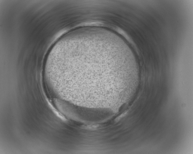 X0000082171237200702021718