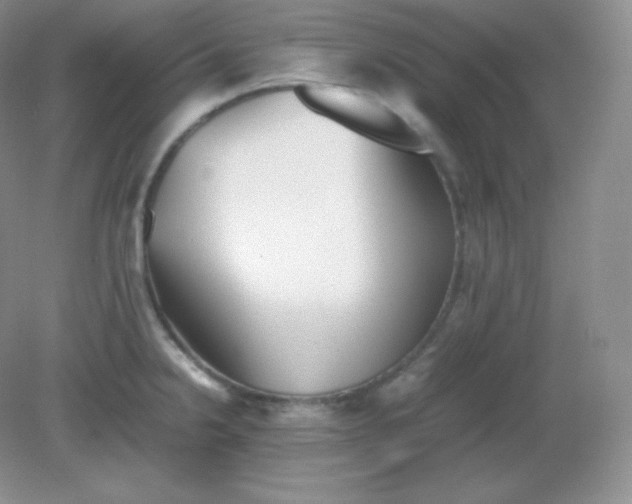 X0000082171238200702021718