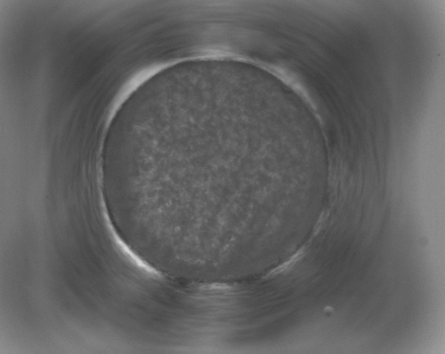 X0000082171239200702021718