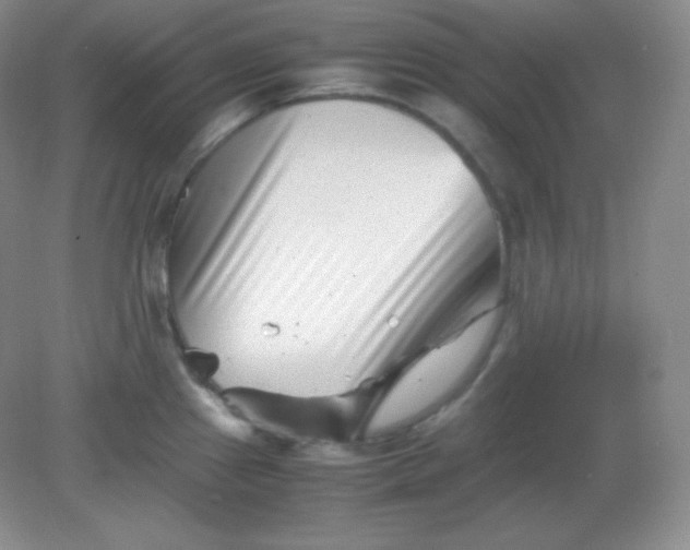 X0000082171241200702021718