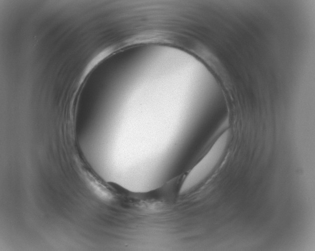 X0000082171242200702021718