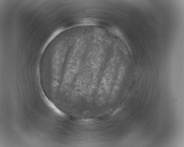 X0000082171243200702021718