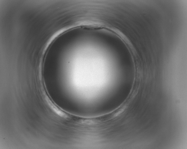 X0000082171246200702021718