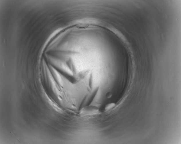 X0000082171248200702021718