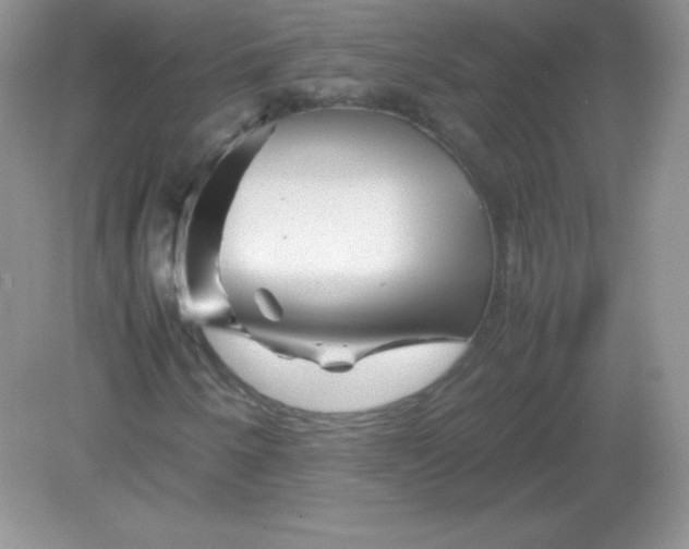 X0000082171250200702021718