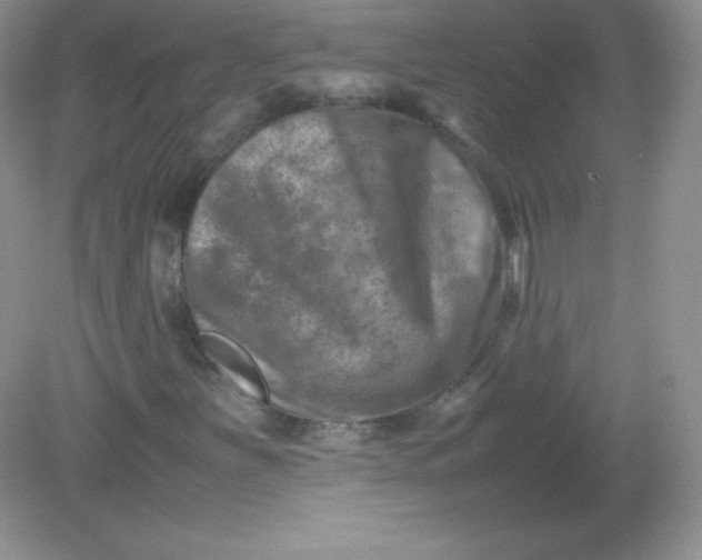 X0000082171251200702021718