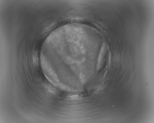 X0000082171252200702021717