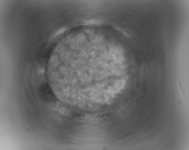 X0000082171254200702021717