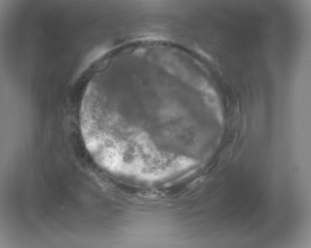 X0000082171255200702021717