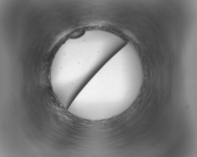 X0000082171256200702021717