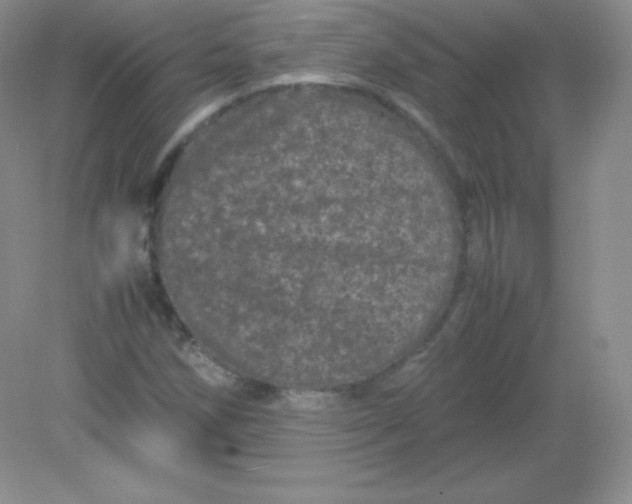 X0000082171258200702021717