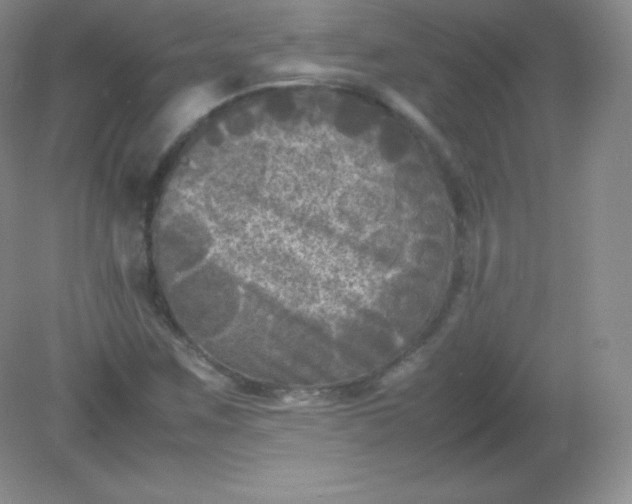 X0000082171259200702021717