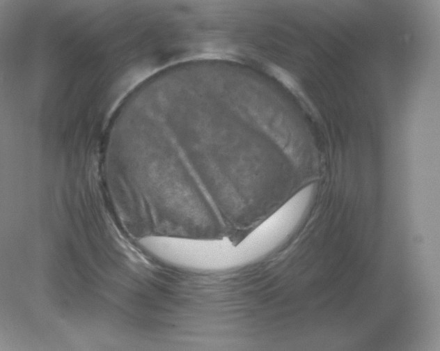 X0000082171260200702021717