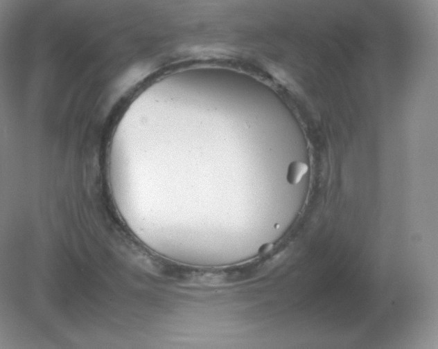 X0000082171261200702021717