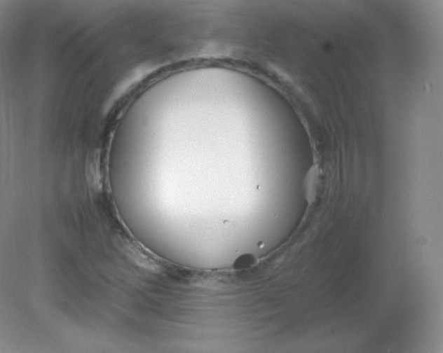 X0000082171262200702021717