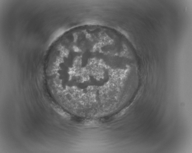 X0000082171263200702021717