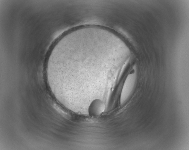 X0000082171264200702021717